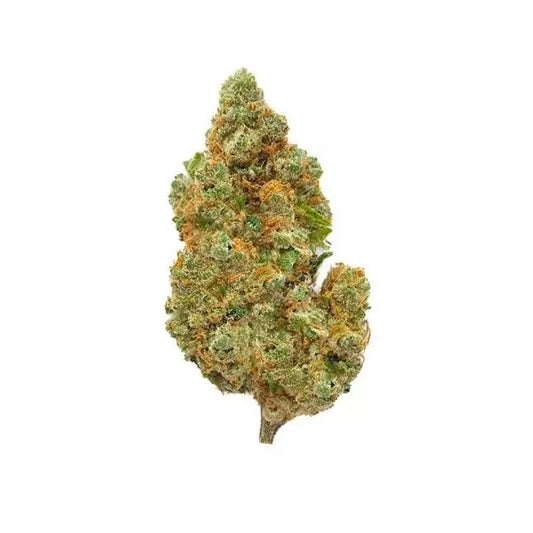 Amnesia Haze Indoor Hydro CBD